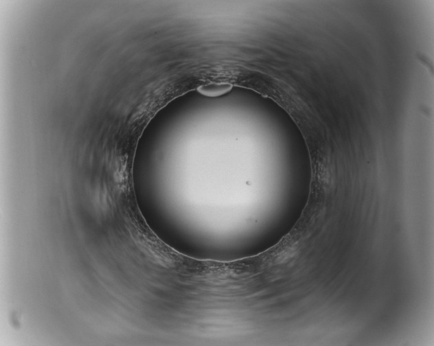 X0000099400818200805151703