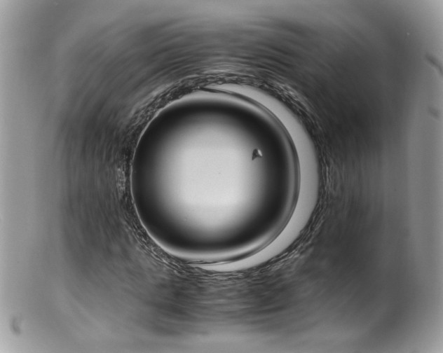 X0000099400821200805151703