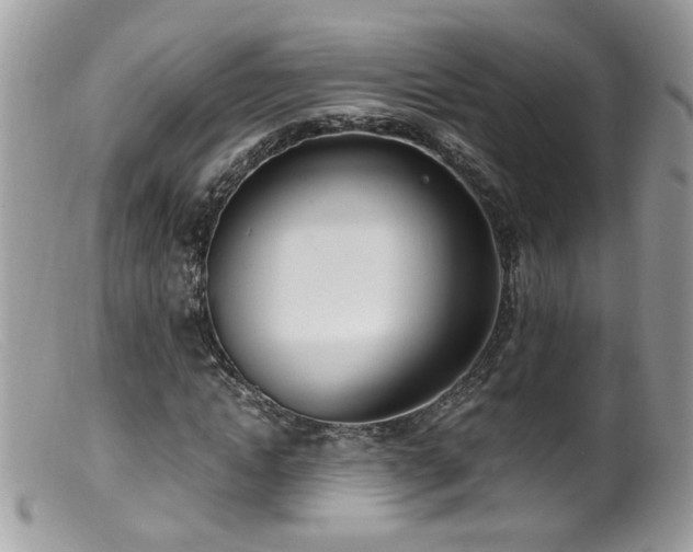 X0000099400822200805151703