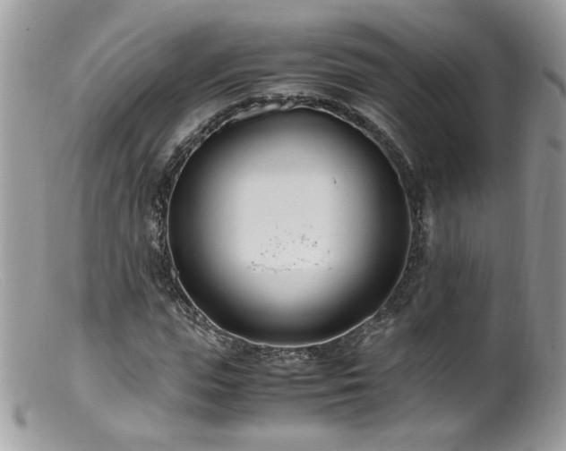 X0000099400823200805151703