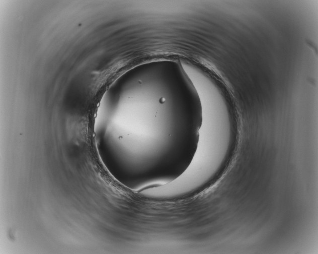 X0000099400825200805151703