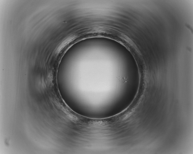 X0000099400826200805151703