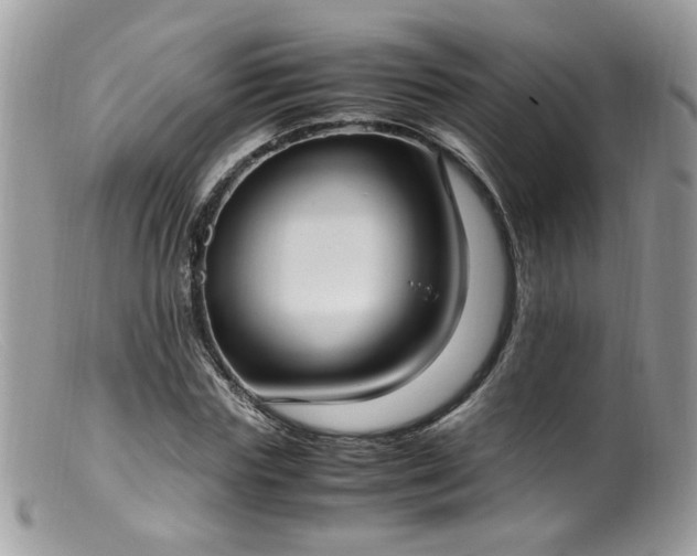 X0000099400827200805151703