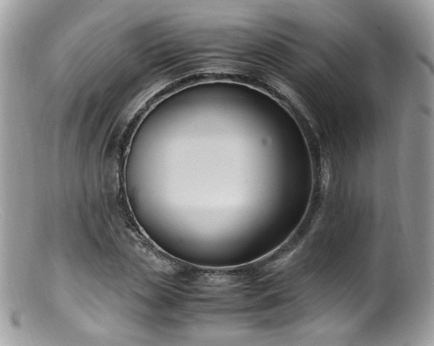 X0000099400829200805151703