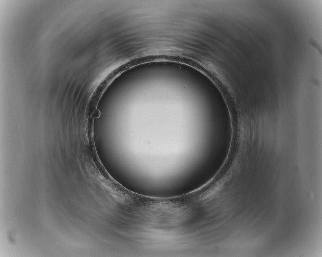 X0000099400830200805151703