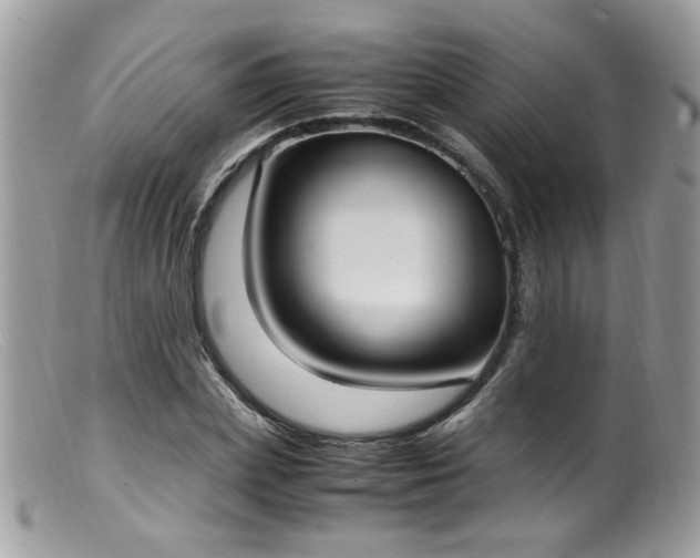 X0000099400831200805151703