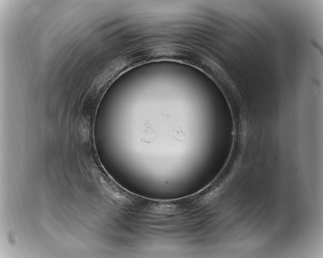 X0000099400833200805151703