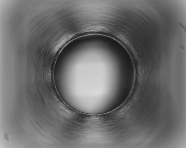 X0000099400834200805151703