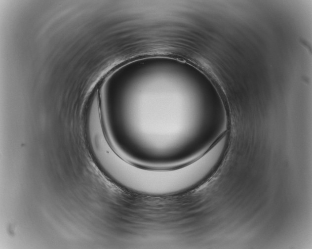 X0000099400835200805151703