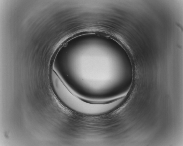 X0000099400837200805151703