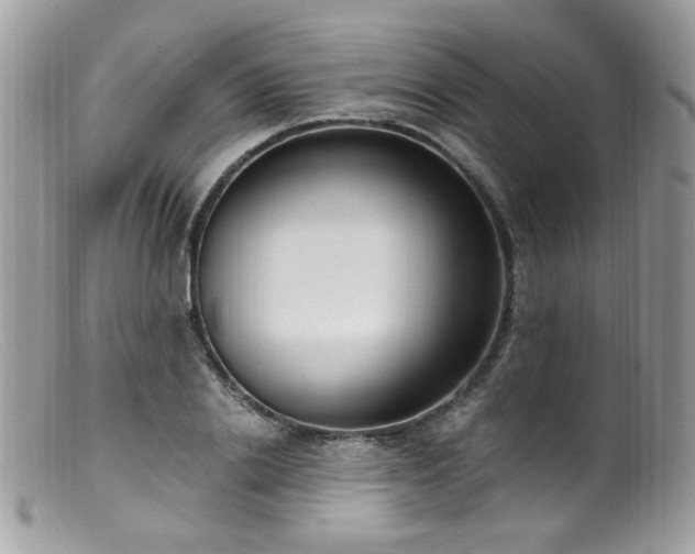 X0000099400838200805151703