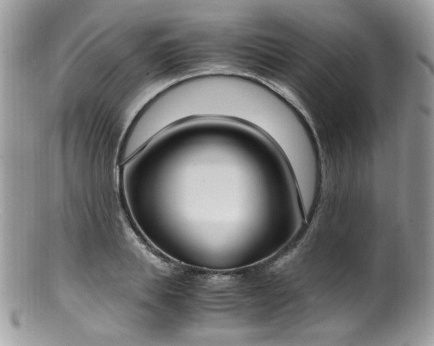 X0000099400839200805151703