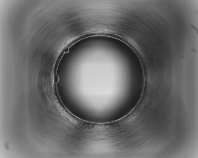 X0000099400840200805151703