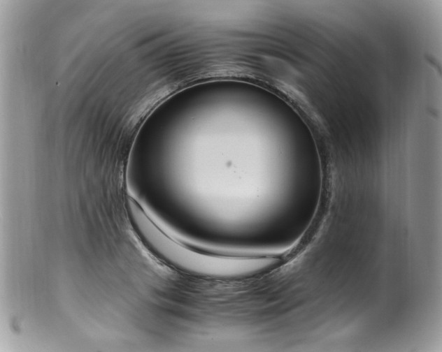 X0000099400841200805151703