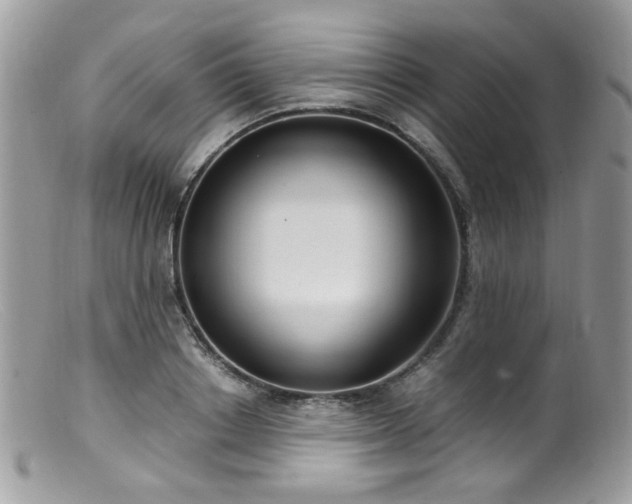 X0000099400842200805151703