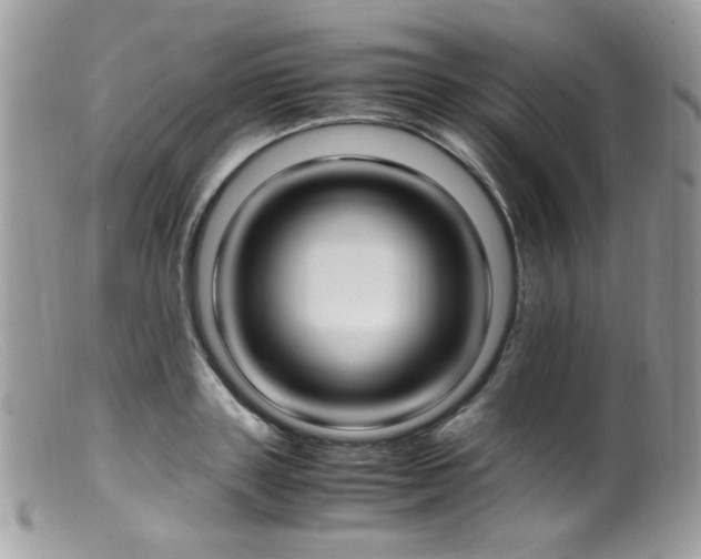 X0000099400843200805151703