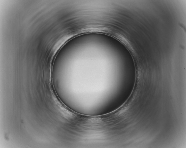 X0000099400844200805151703