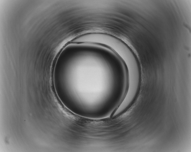 X0000099400845200805151703