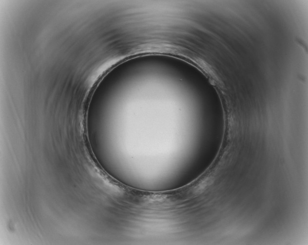 X0000099400846200805151703