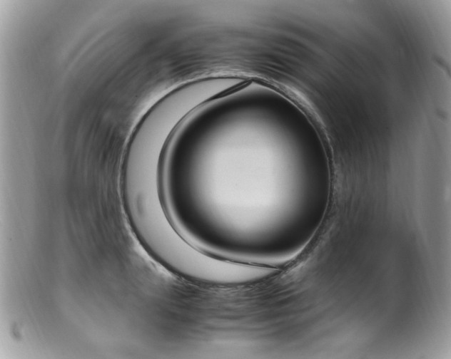 X0000099400847200805151703