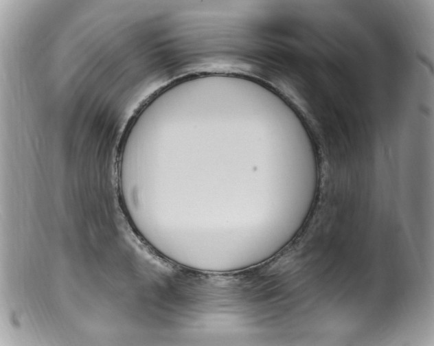 X0000099400848200805151703