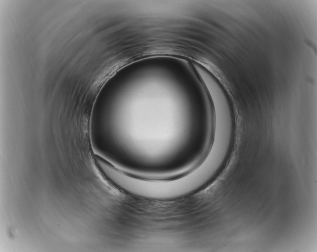 X0000099400849200805151704