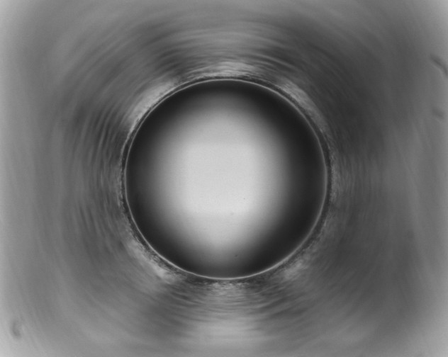 X0000099400850200805151704