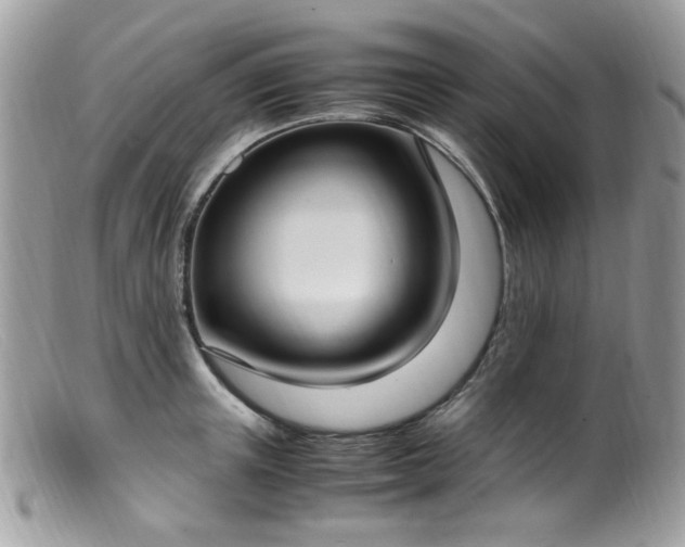 X0000099400851200805151704