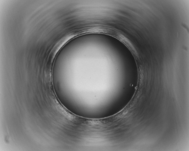 X0000099400852200805151704