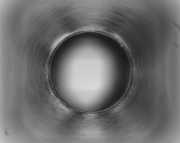 X0000099400854200805151704