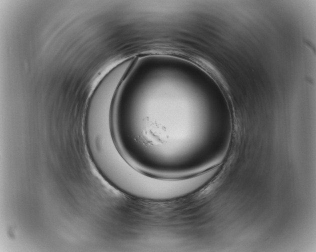 X0000099400855200805151704