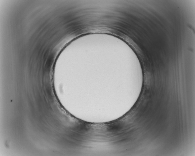 X0000099400856200805151704