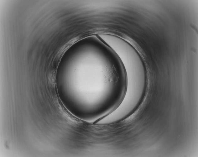 X0000099400857200805151704