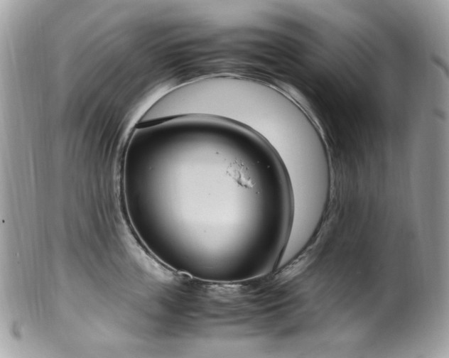 X0000099400859200805151704