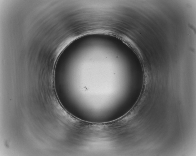 X0000099400860200805151704