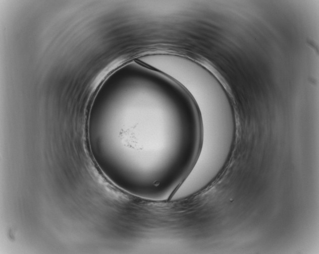 X0000099400861200805151704