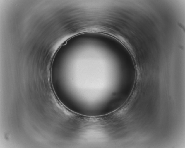 X0000099400862200805151704