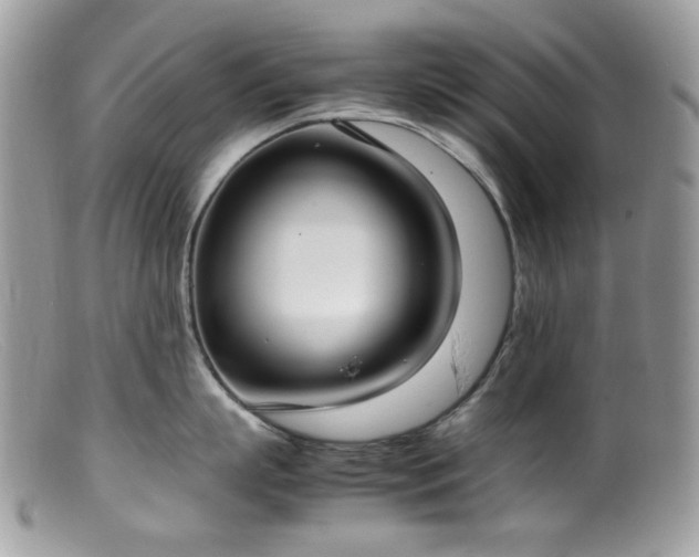 X0000099400863200805151704