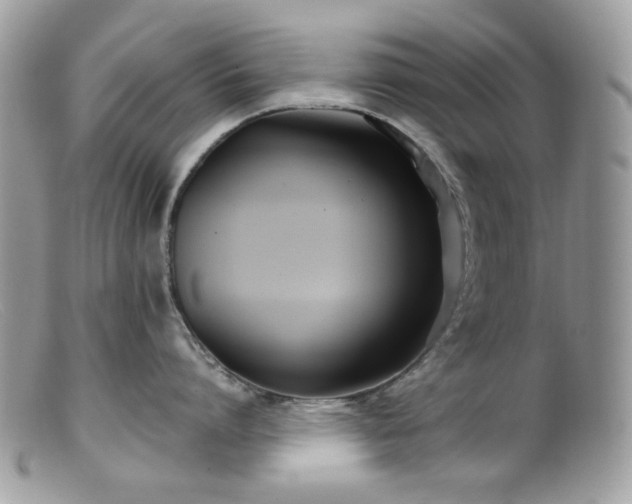 X0000099400864200805151704