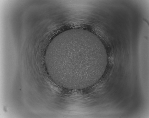 X0000099400865200805151703