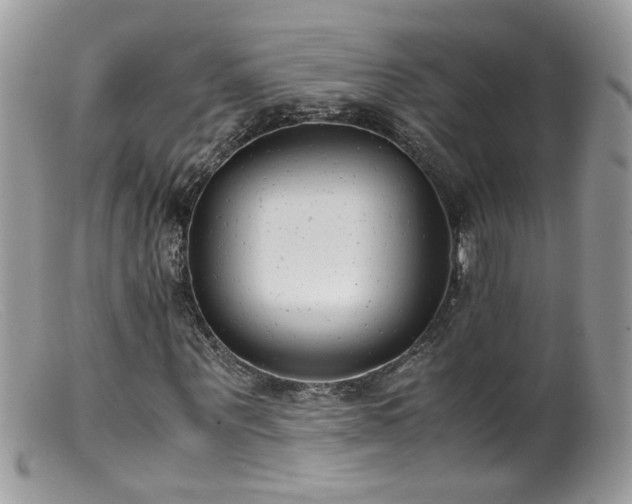 X0000099400867200805151703