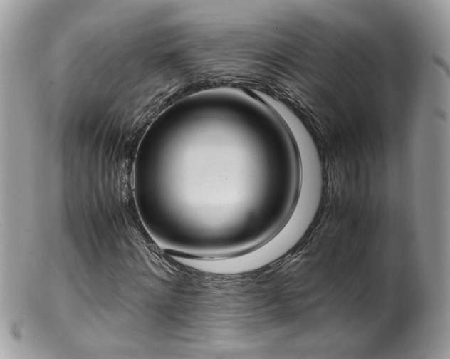 X0000099400868200805151703