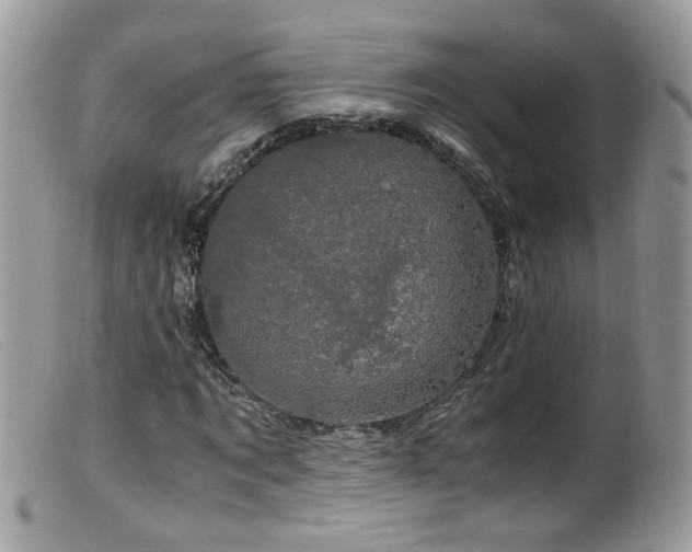 X0000099400869200805151703