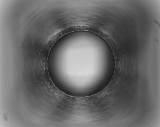 X0000099400870200805151703