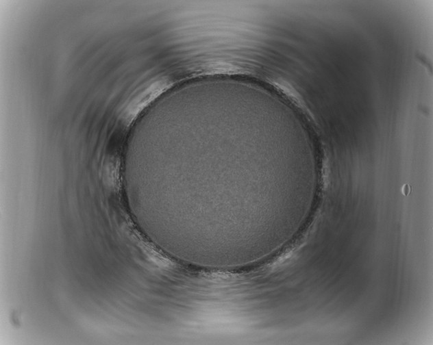 X0000099400873200805151703