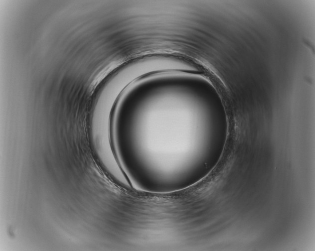 X0000099400874200805151703