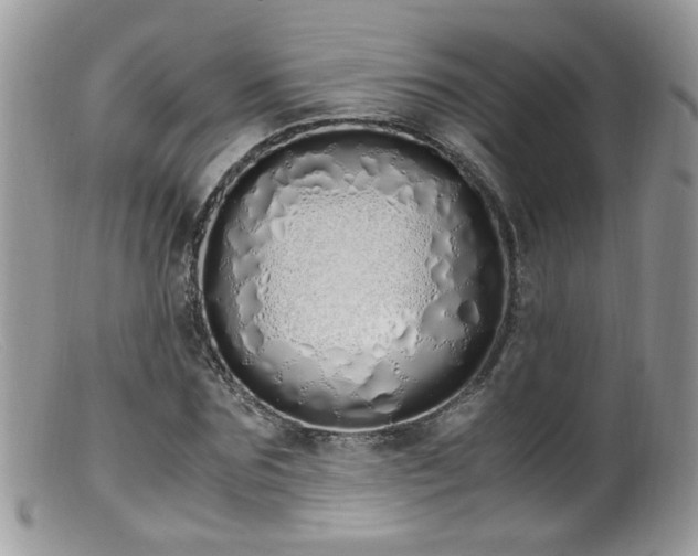 X0000099400875200805151703