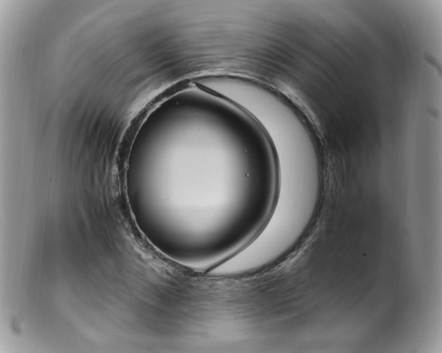 X0000099400876200805151703