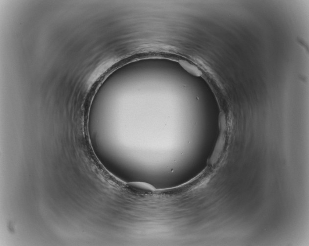 X0000099400877200805151703