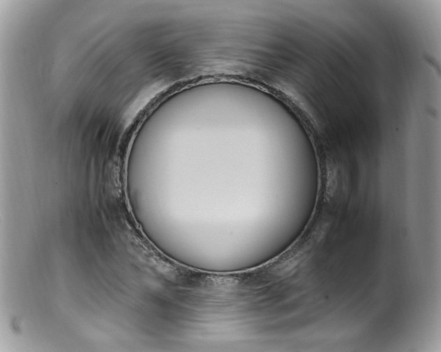 X0000099400878200805151703